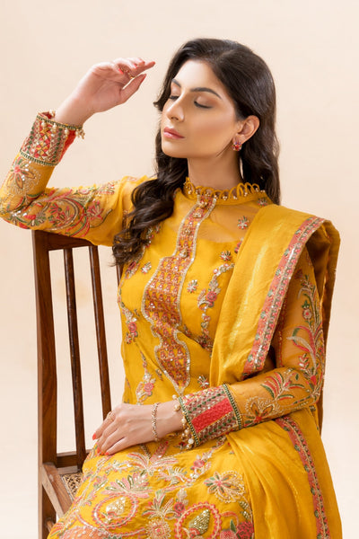 Luxury Collection Design 05